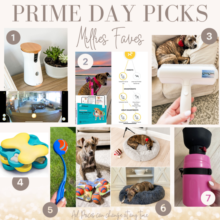 PBDD: The Ultimate Guide to all the Pet deals!