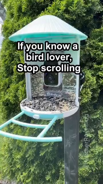 Reply BIRD for Link! This is so fun, All ages love it… – May 30, 2026