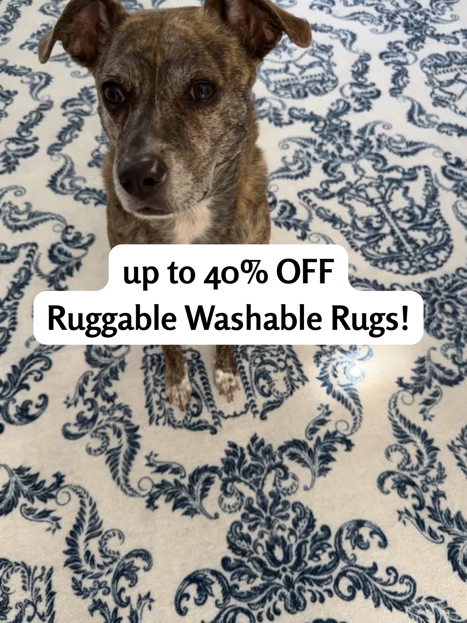 Ruggable is hands one of my favorite rug brands! machine washable, and… – Jul 24, 2026