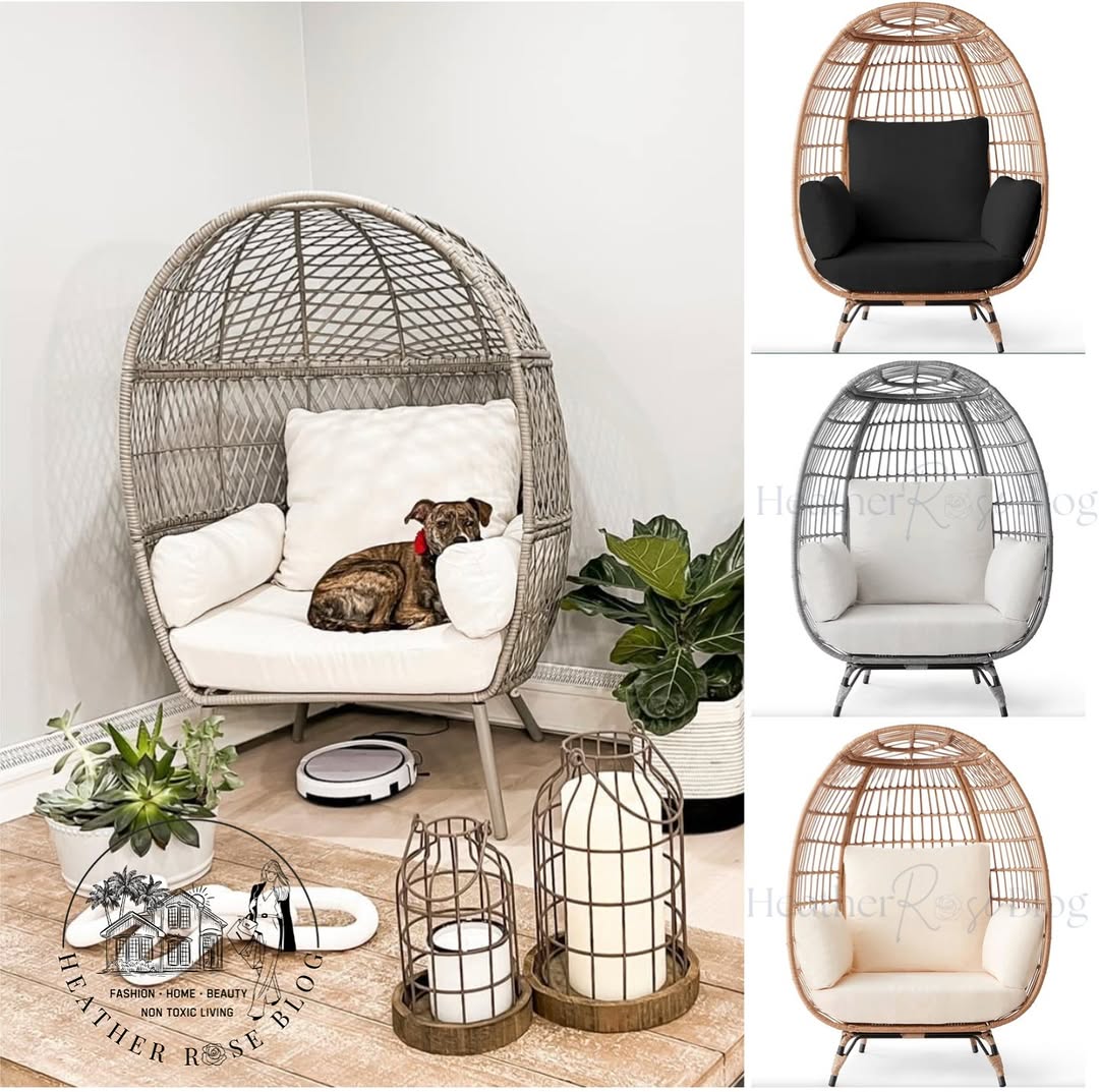 Millie Fully believes our egg chair is for her! This is an… – Apr 4, 2026