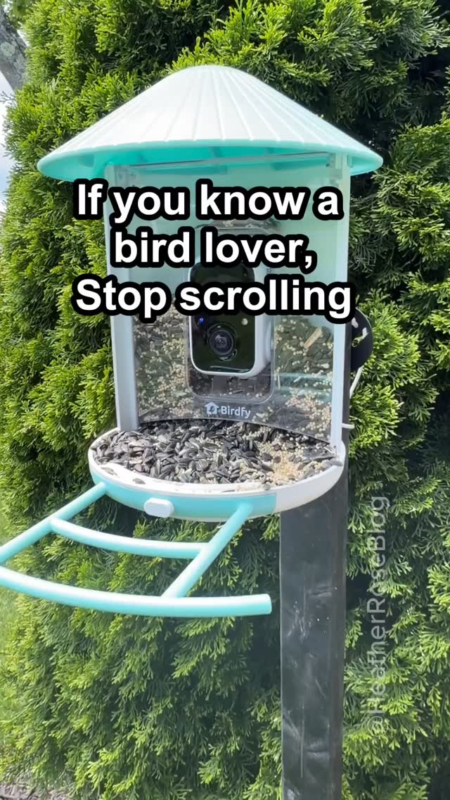 Reply BIRD for Link! This is so fun, All ages love it… – May 30, 2026